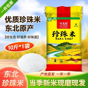 珍珠米圆粒大米东北香米10斤产地 一年一季 当季 新米东北珍珠米5kg