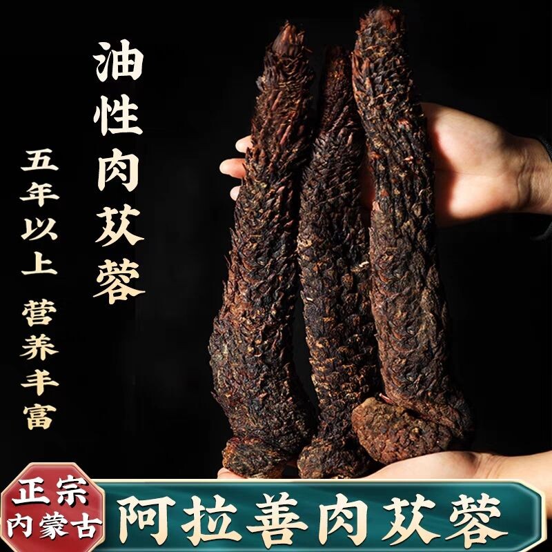 正宗阿拉善肉苁蓉特级野生整根油性软质肉苁蓉男性泡酒切片泡水茶