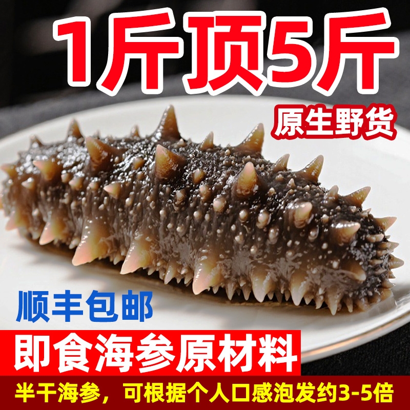 大连拉缸盐半干海参1斤鲜活即食干野货特价辽刺参袋装生水产冷冻