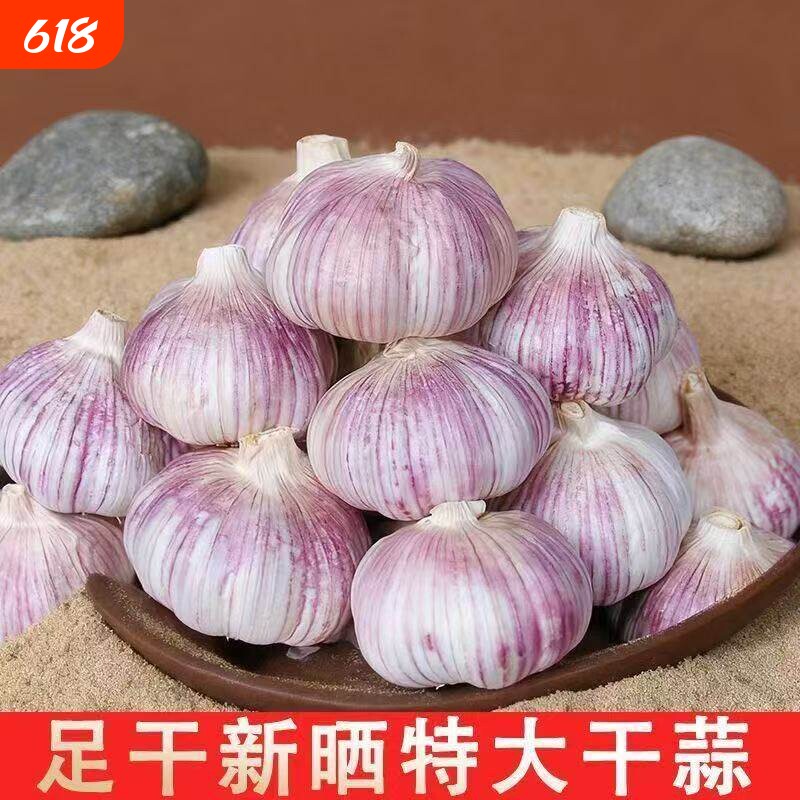 新货紫皮干蒜农家自种自然晾晒蒜头辛辣浓郁家用炒菜调味整箱包邮