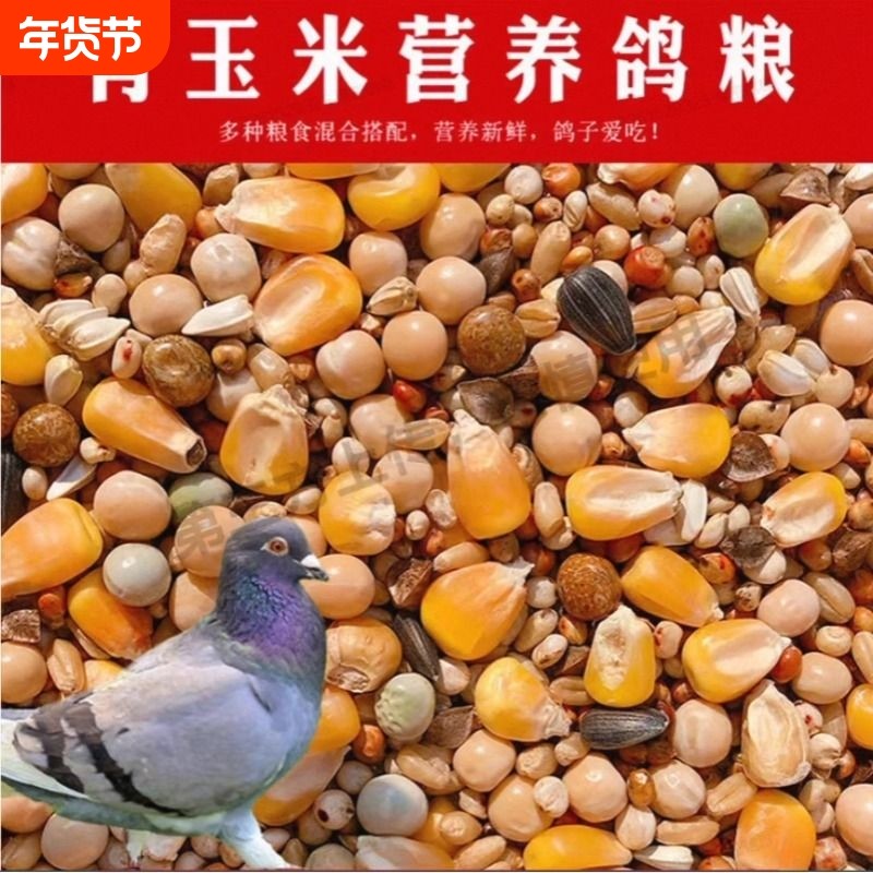 鸽子粮有玉米鸽粮食营养饲料鸟食信鸽幼鸽成鸽粮5斤装混合豌豆