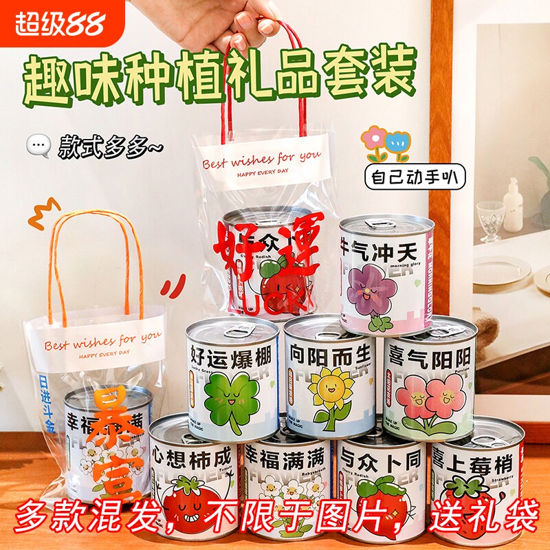 植物盆栽生日创意礼品小学生儿童伴手礼幼儿园奖品实用小礼品盲盒