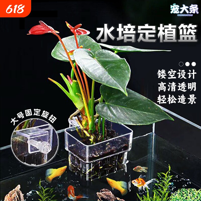 鱼缸植物固定器水培架定植篮壁挂式水草杯绿萝支架造景装饰配件