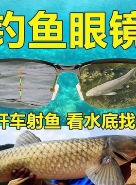 水深10米直接看到鱼钓鱼射鱼神器
