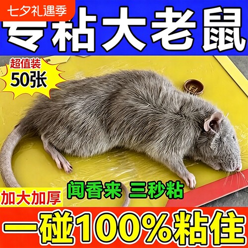 粘鼠板强力胶粘大老鼠老鼠贴强力超强家用2026新款驱鼠神器捕鼠
