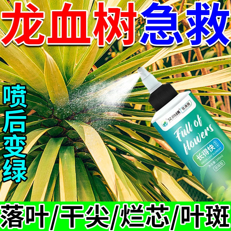 龙血树专用营养液防龙须树黄叶褐斑干尖根腐锈病烂根复活液豆粕