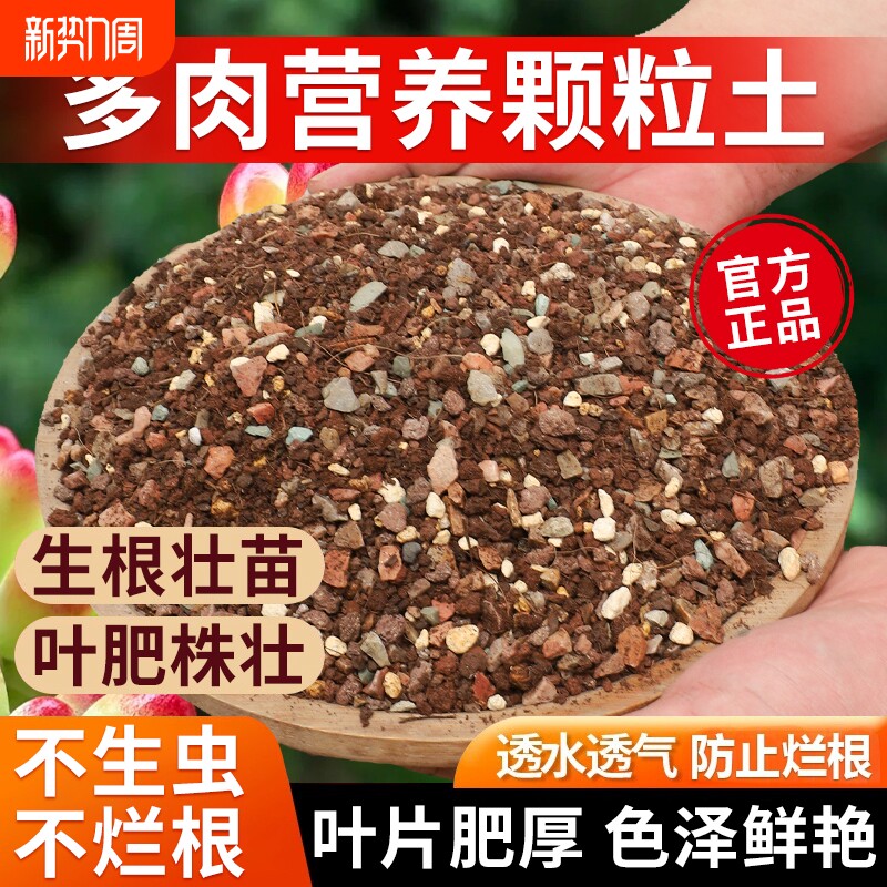 多肉专用颗粒土花土种养多肉植物营养土透气疏松仙人球土种植土肥