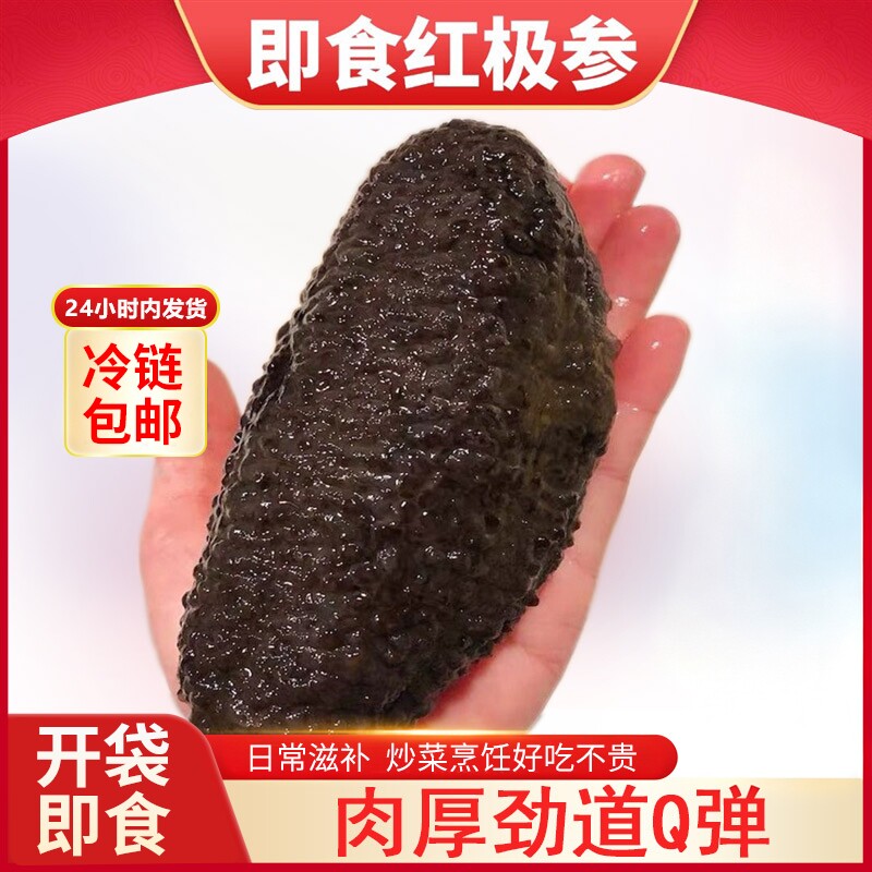 红极参冰岛红参加拿大外国海参非刺参底播解冻即食海参非干海参