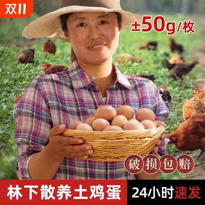 谷物鲜蛋大别山散养正宗土鸡蛋