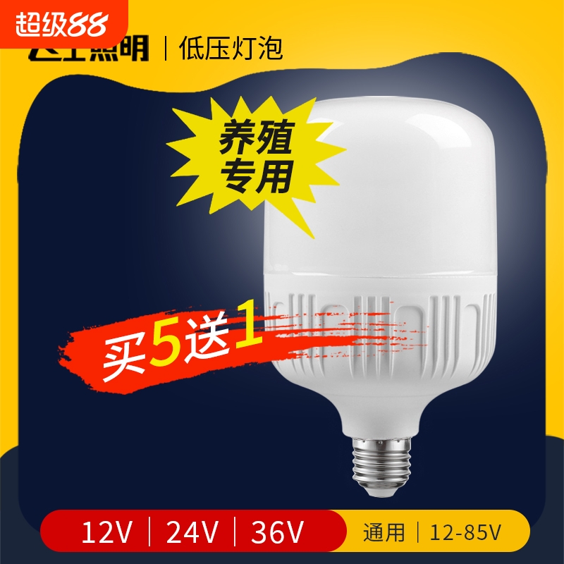 led低压灯泡12v灯led灯36V36伏24v灯交直流电瓶太阳能专用节能灯