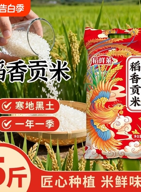 东北大米珍珠米5kg10斤装当季新米20斤产地直发稻香米50斤非真空