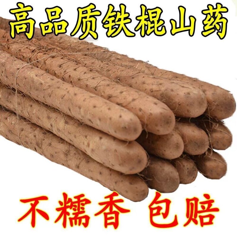 正宗铁棍山药小白嘴山药新鲜现挖麻山药香甜软糯宝宝辅食