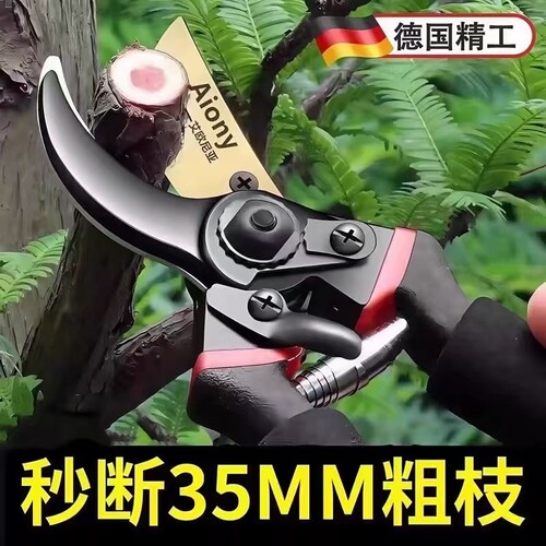 德国工艺果树家用花木