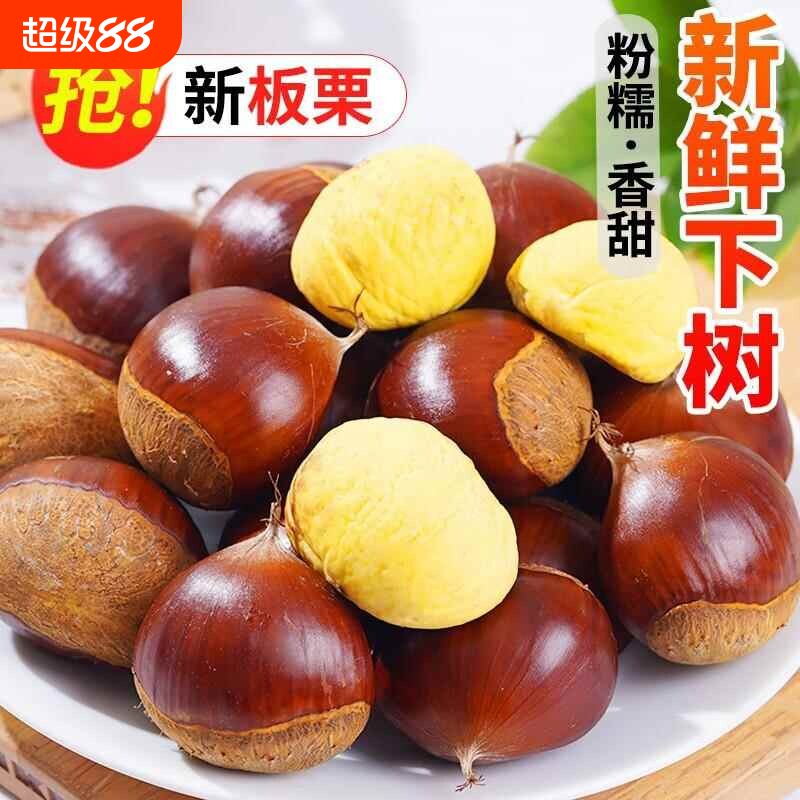板栗生新鲜批发栗子5斤板栗球红皮带壳丹东板栗仁易剥皮去壳野采1图片