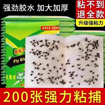 粘蝇纸胶苍蝇贴强力粘蝇板灭蝇