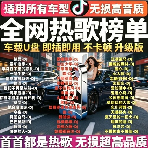 热歌经典DJ必备音质车载音乐U盘