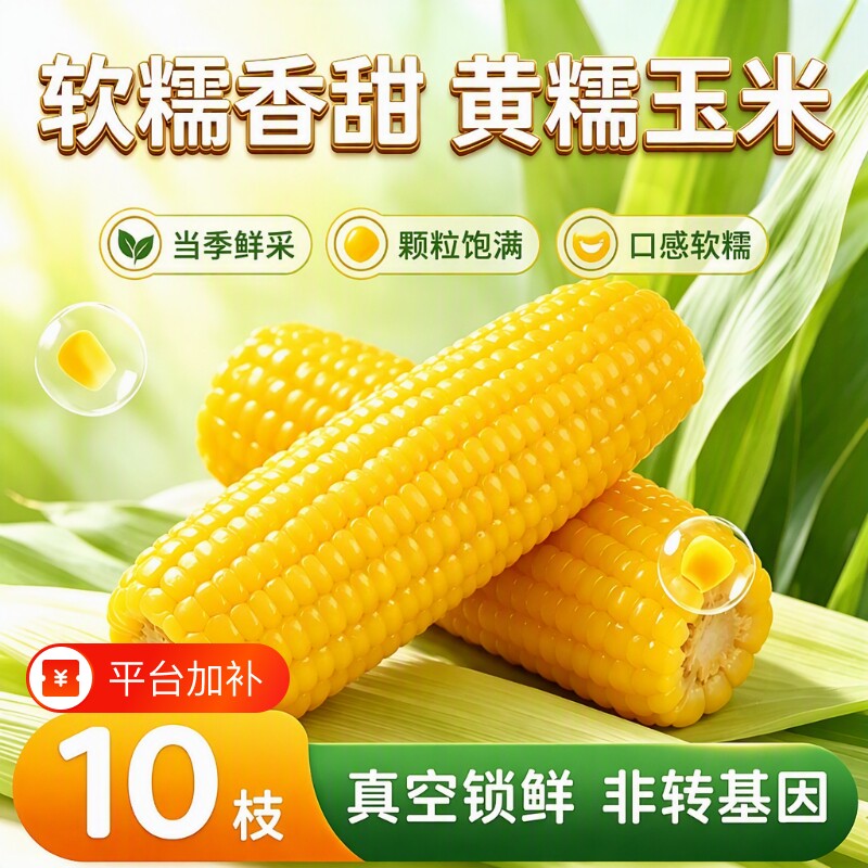 东北特产新鲜黄糯玉米区别包装袋软糯拉丝粘粘苞米香甜早餐玉米棒