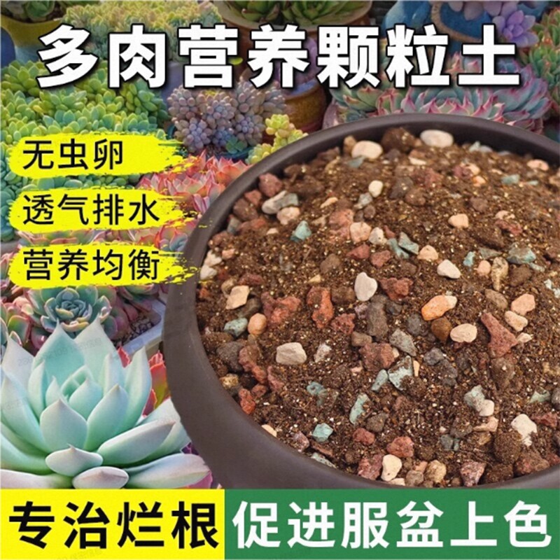 多肉颗粒土专用营养土植物泥炭种植土壤肉肉叶插小苗颗粒花土疏松