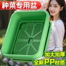 阳台种菜盆专用箱长方形家用室内庭院户外塑料花盆大号蔬菜种植箱