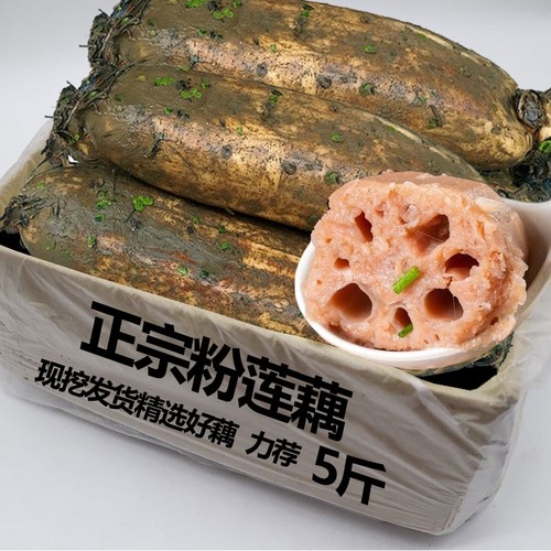 正宗湖北洪湖莲藕新鲜现挖煲汤粉藕桂花粉糯米藕火锅食材烧烤九孔