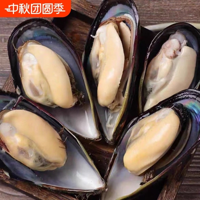 野生大青口贝鲜活 海虹淡菜新鲜冷冻海鲜贻贝青口贝水产包邮