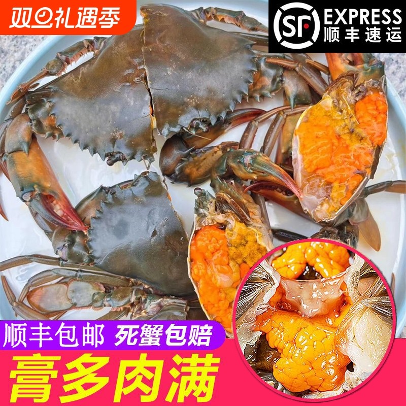 野生红膏青蟹母螃蟹醉蟹下酒菜膏多肉满顺丰包邮到家包活酒店宴席