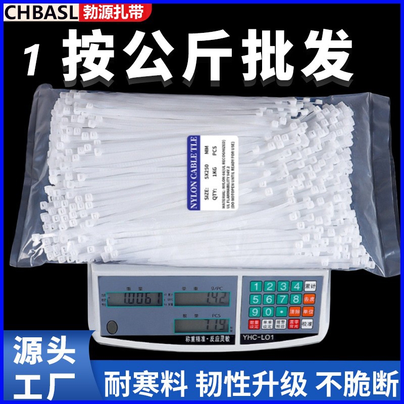CHBASL尼龙扎带源头厂家批发