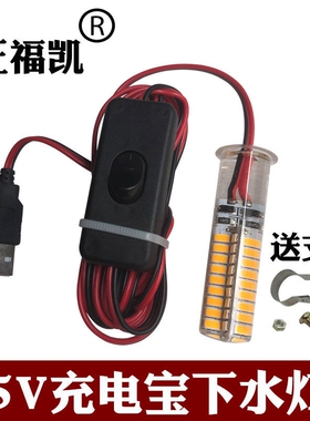 正福凯下水灯usb接口强光5v鱼缸led灯防水集鱼冰钓公鱼水下诱鱼灯