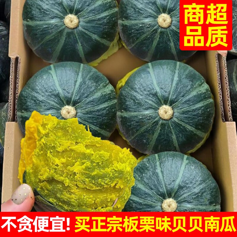 正宗糖心贝贝小南瓜老熟粉面板栗味婴儿辅食惠和山东新鲜