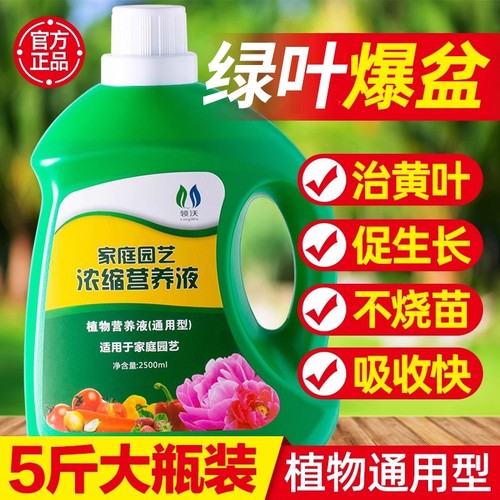营养液植物通用型盆栽水培富贵竹绿萝发财树专用肥料绿叶浓缩黄叶
