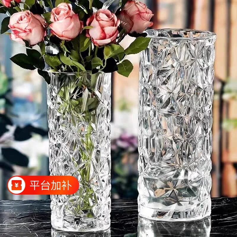 花瓶摆件客厅插花玻璃轻奢高级感水养鲜花水培富贵竹专用大号⑥