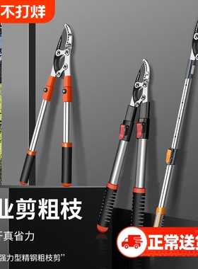 德国精工果树修枝剪树枝剪刀粗枝剪大力剪家用大剪刀园林工具园艺
