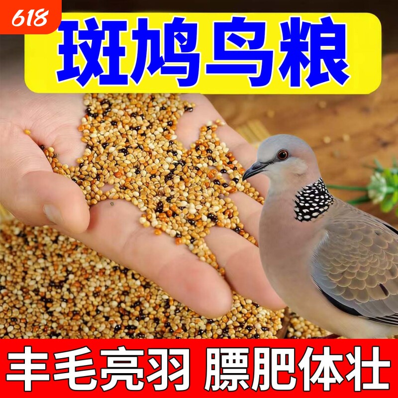 斑鸠专用粮食幼鸟五色黍子饲料投喂谷物鸽子小颗粒通用营养鸟饲料