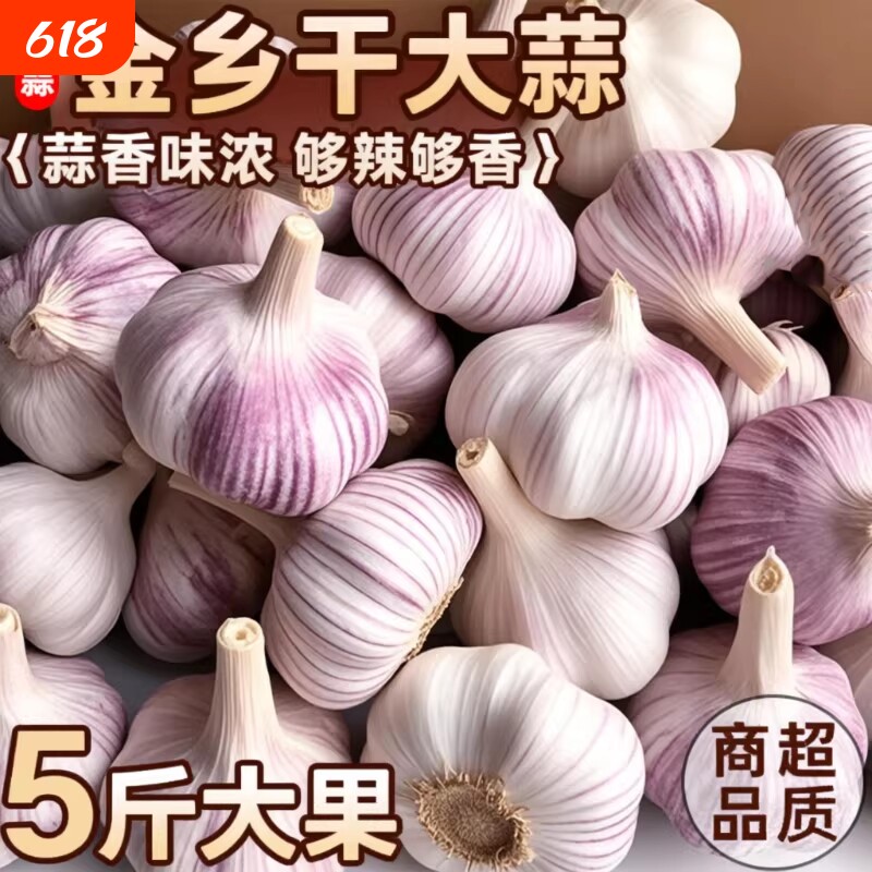 蒜香味浓山东金乡紫皮大蒜头干蒜蔬菜批发新鲜种植优质大果当季