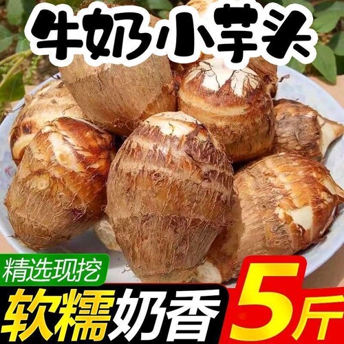 【精品】云南牛奶芋头无二母果当季香芋奶油应季蔬菜奶香正宗软糯
