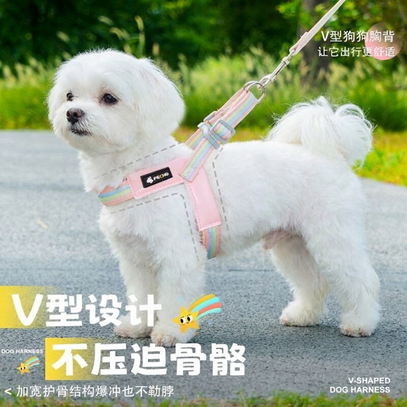 狗狗牵引绳防咬不勒脖单胸背款图片