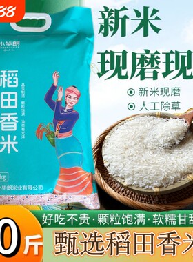 云南德宏芒市特产大米当季新米10斤软米遮放米业米饭优质原粮现磨