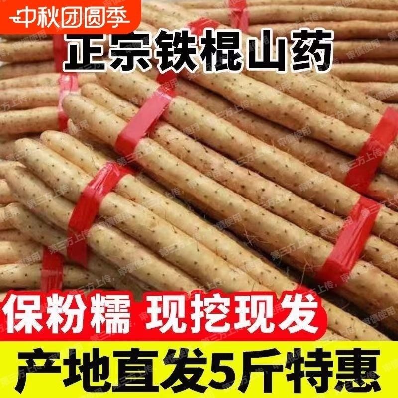 河北正宗铁棍山药铁棍山药新鲜山药软糯香甜产地直发宝宝辅食,水产肉类/新鲜蔬果/熟食,新鲜山药,淘宝优惠券,粉丝福利购,淘宝优惠卷