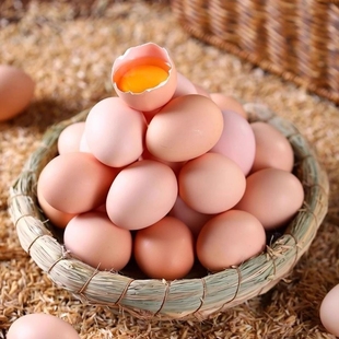 农家自养土鸡蛋正宗散养笨鸡蛋五谷喂养虫草蛋新鲜鸡蛋40g±5g枚