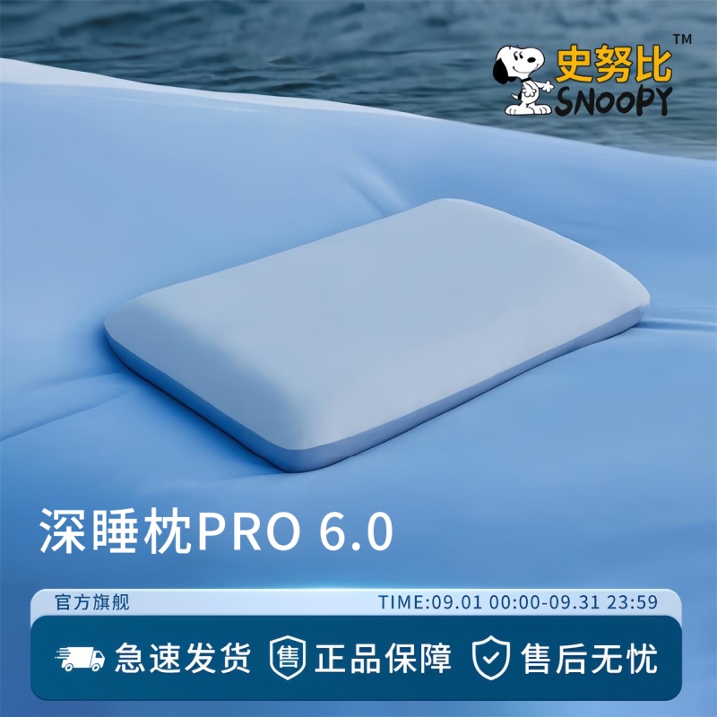 记忆棉枕头枕芯一对成人学生宿舍一只装护颈椎助睡眠专用睡眠枕头