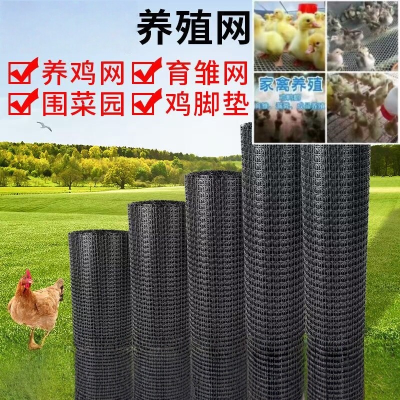 塑料网格养殖围栏网鱼塘防护圈农村拦鸡网家用隔离栅栏菜园护栏网
