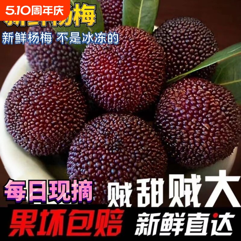 2026新鲜杨梅现摘现发福建水果鲜果泡酒当季孕妇早梅泡酒梅硬丝