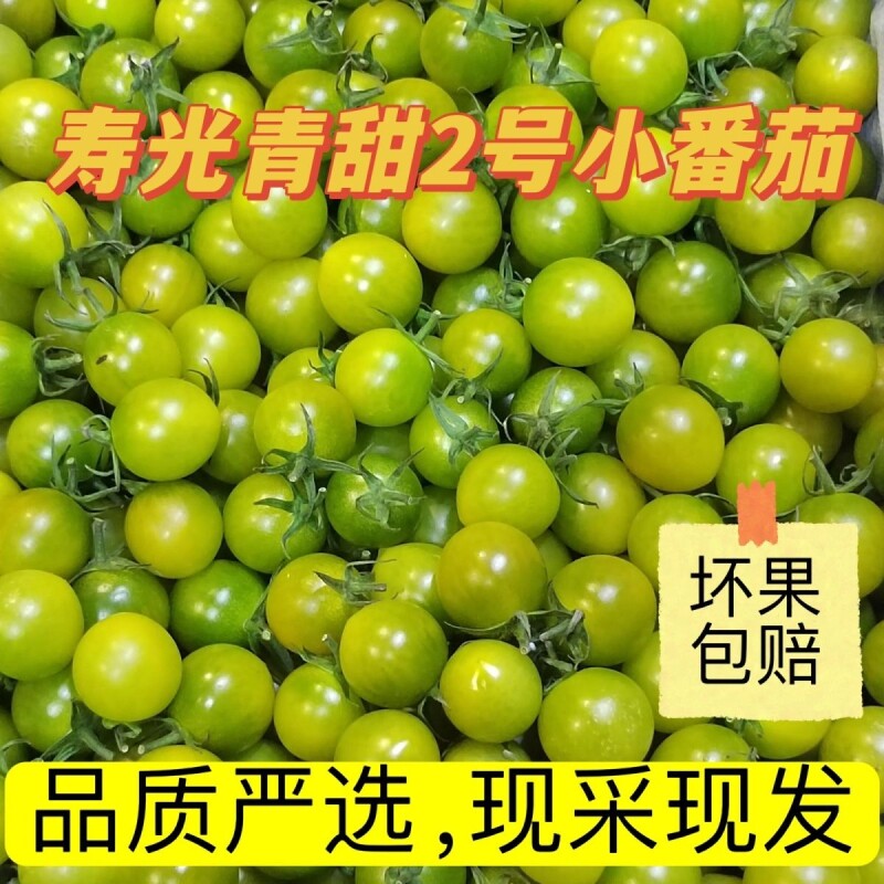 京东包邮山东潍坊青口蜜小番茄新鲜摘西红柿水果绿色圣女果小番茄
