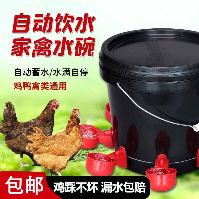 【全网爆款】家禽饮水器自动蓄水