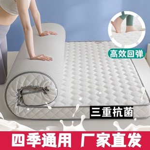 四季 床垫遮盖物家用软垫租房专用榻榻米垫子宿舍学生单人褥子加厚