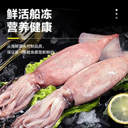 火箭鱿鱼超大笔管鱼水晶管