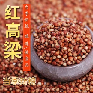 新红高粱高粱带皮高粱米颗粒饱满酿酒喂鸽子鸽粮去壳高粱