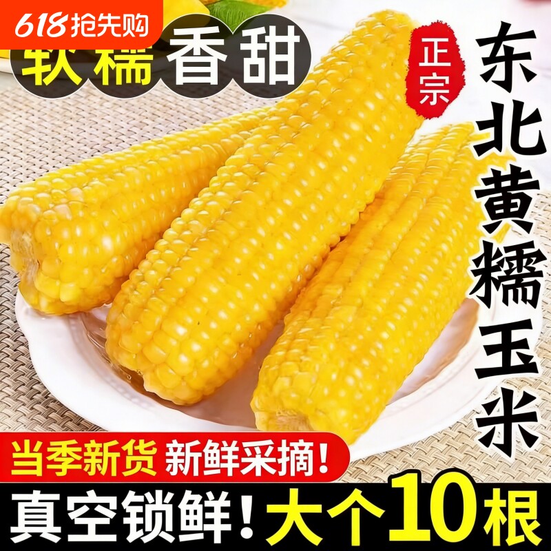 正宗东北新鲜黄糯玉米软糯香甜拉丝独立包装代餐早餐非即食糯玉米