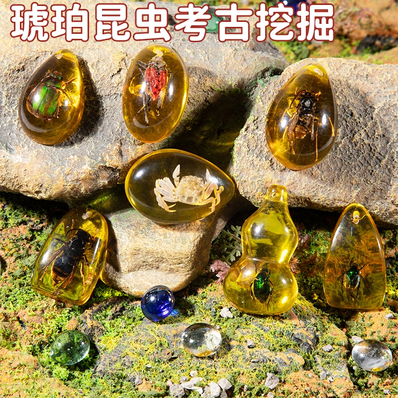 琥珀昆虫考古挖掘|超3000次加购