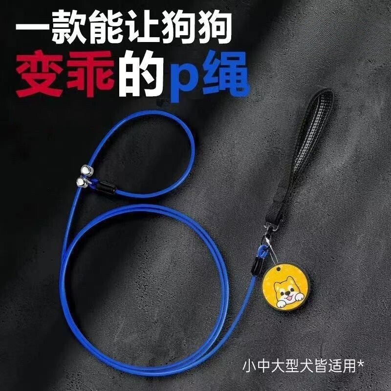 防爆冲狗绳大型犬小型犬小狗链子图片